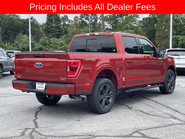 Used 2023 Ford F150 XLT w/ Equipment Group 302A High AWD/4WD image 5