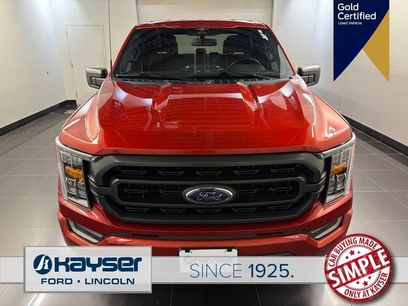 Certified 2023 Ford F150 XLT w/ Equipment Group 302A High