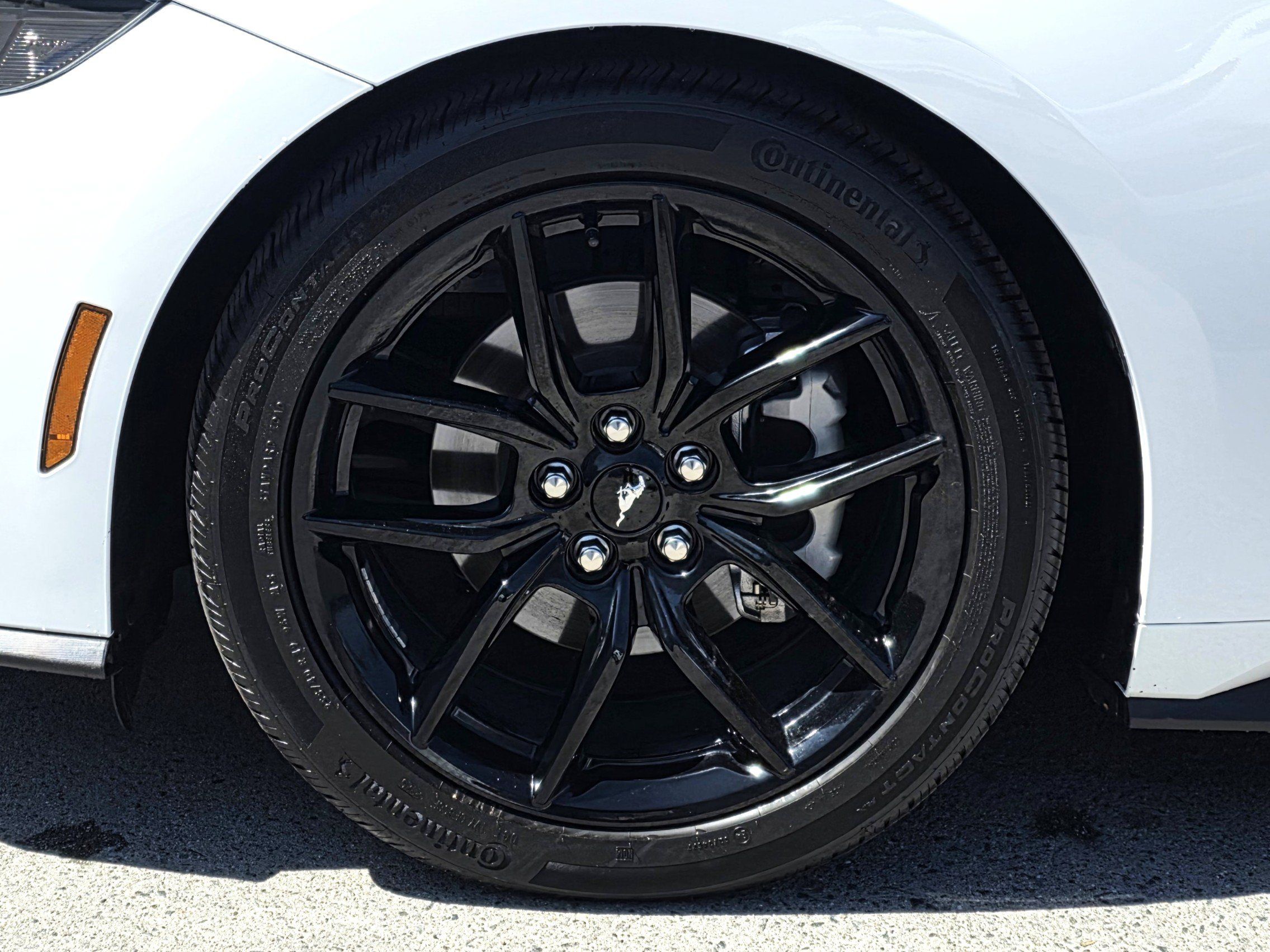 Used 2025 Ford Mustang Coupe RWD image 7