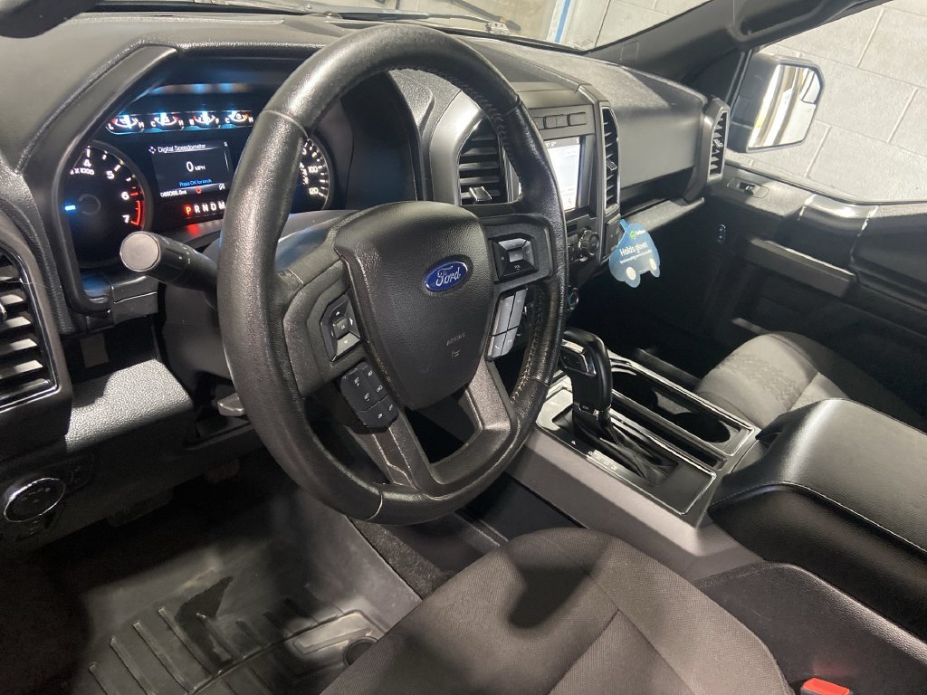 Used 2019 Ford F150 XLT w/ Equipment Group 302A Luxury AWD/4WD image 10