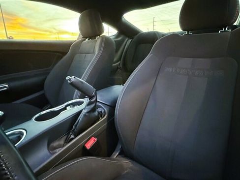 Used 2019 Ford Mustang GT w/ Equipment Group 301A RWD image 10