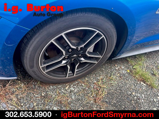 Used 2021 Ford Mustang GT Premium RWD image 4