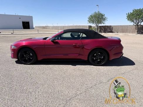 Used 2021 Ford Mustang Convertible w/ Equipment Group 101A RWD image 8