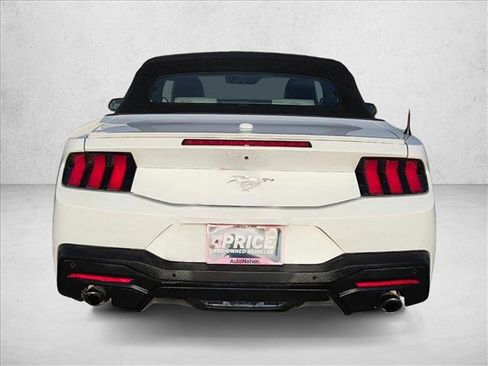 Used 2024 Ford Mustang Premium image 7