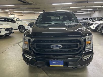 Certified 2023 Ford F150 XLT w/ Equipment Group 302A High