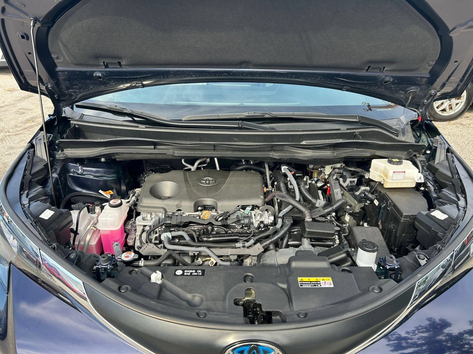 Used 2025 Toyota Sienna XLE FWD image 29