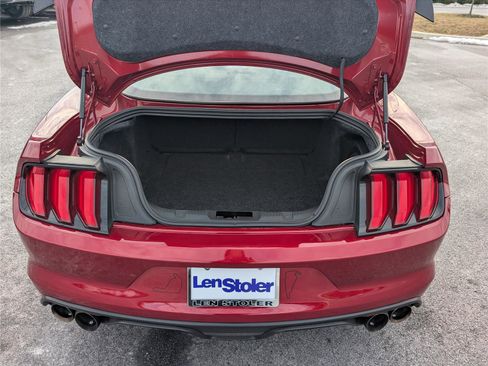 Used 2019 Ford Mustang Shelby GT350 w/ Technology Package image 13