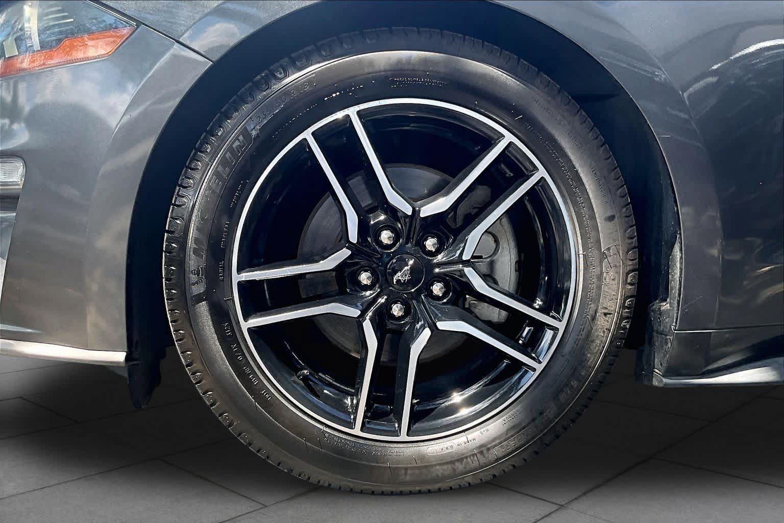 Used 2019 Ford Mustang Premium RWD image 10