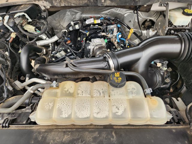 Used 2021 Ford F150 XL w/ STX Appearance Package RWD image 32
