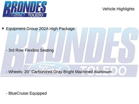 Used 2025 Ford Expedition Active AWD/4WD image 10