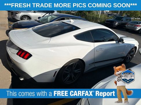 Used 2025 Ford Mustang Coupe RWD image 4