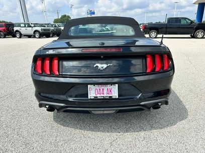 Certified 2019 Ford Mustang Premium w/ Equipment Group 201A