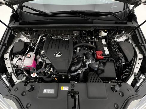 Certified 2025 Lexus NX 350 AWD w/ Cold Area Package image 24