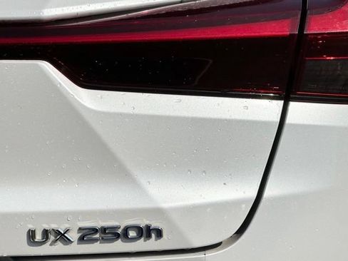 Used 2020 Lexus UX 250h w/ Premium Package AWD/4WD image 8