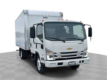 New 2024 Chevrolet Low Cab Forward