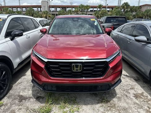 Used 2026 Honda CR-V EX-L image 2