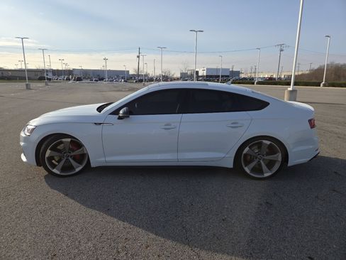 Used 2019 Audi S5 Premium Plus w/ Premium Plus image 16