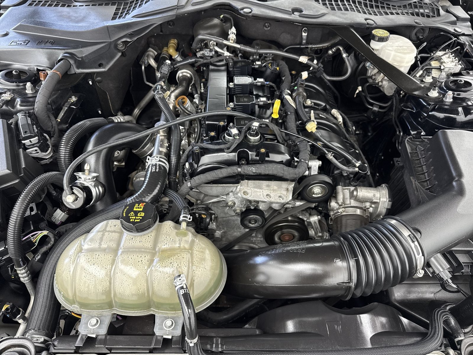 Used 2022 Ford Mustang Premium RWD image 46