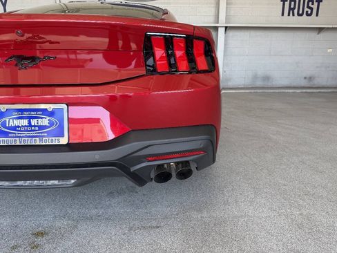 Used 2024 Ford Mustang Premium w/ Mustang Nite Pony Package RWD image 10