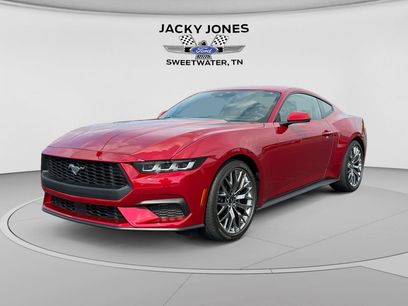 Used 2024 Ford Mustang Premium