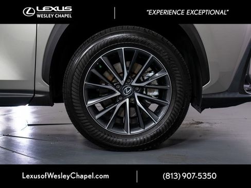 Used 2024 Lexus NX 250 FWD w/ Cold Area Package image 5