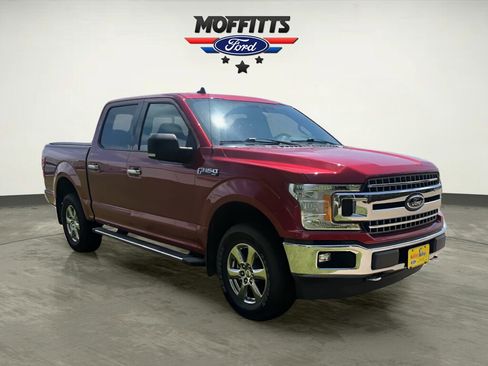 Used 2019 Ford F150 XLT w/ Equipment Group 302A Luxury AWD/4WD image 7