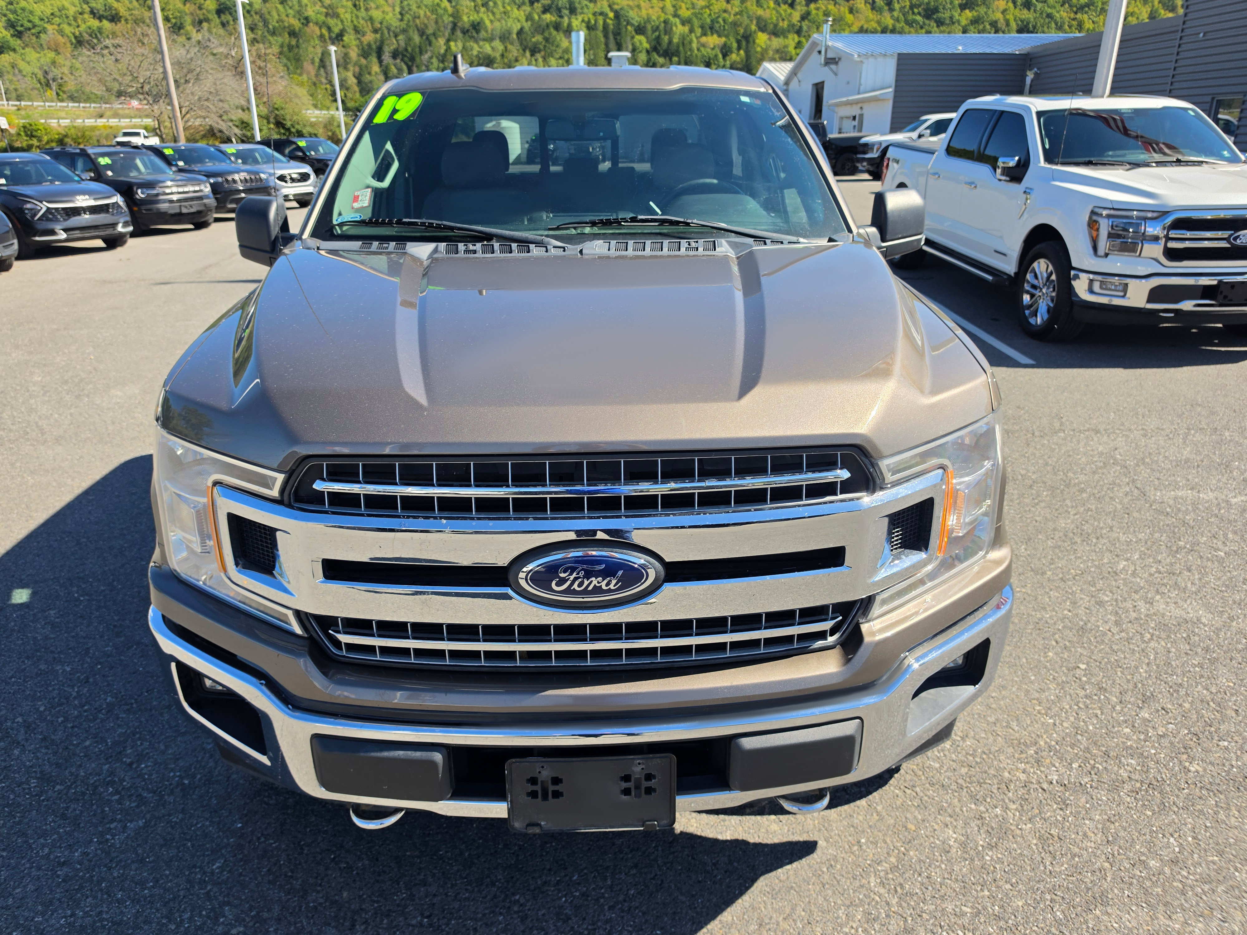 Used 2019 Ford F150 XLT w/ Equipment Group 302A Luxury AWD/4WD image 8