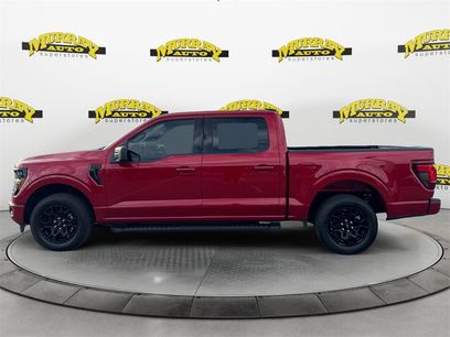 New 2025 Ford F150 XLT w/ Equipment Group 301A Standard