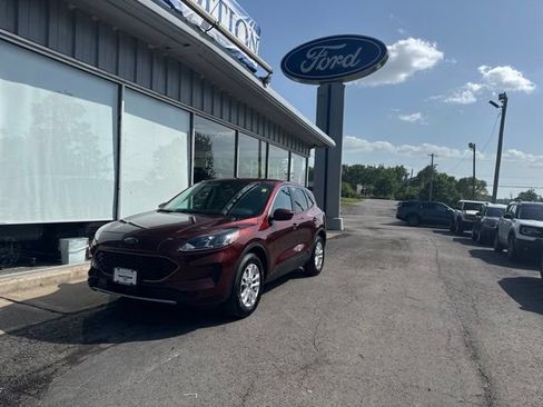 Used 2021 Ford Escape SE AWD/4WD image 1