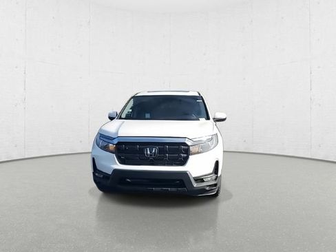 New 2026 Honda Ridgeline RTL image 3