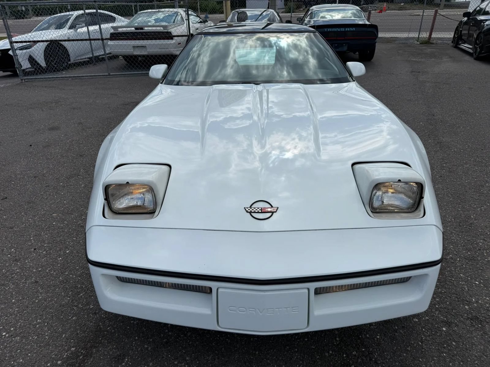 Used 1990 Chevrolet Corvette Coupe RWD image 11