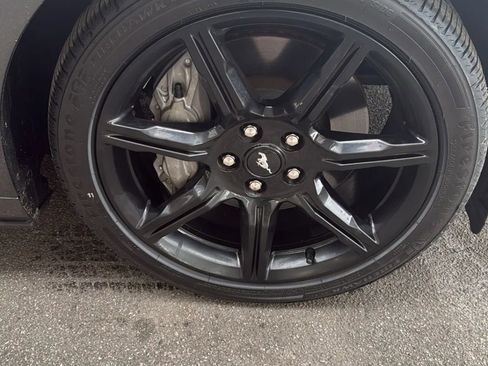 Used 2020 Ford Mustang GT w/ Equipment Group 301A image 33