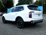 Used 2023 Kia Telluride SX Prestige image 6