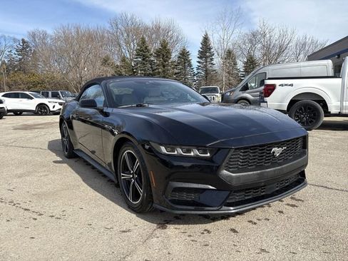 Certified 2024 Ford Mustang Premium image 3