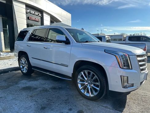 Used 2019 Cadillac Escalade Luxury image 5