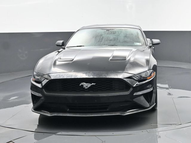 Used 2019 Ford Mustang Coupe RWD image 19