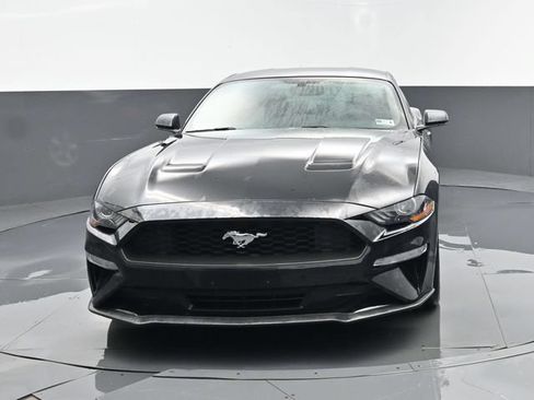 Used 2019 Ford Mustang Coupe RWD image 19