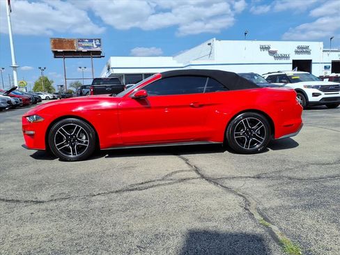Used 2018 Ford Mustang Premium w/ Equipment Group 201A image 6