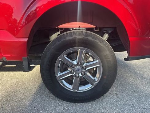 Used 2025 Ford F150 XLT w/ Equipment Group 301A Standard AWD/4WD image 15