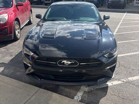 Used 2019 Ford Mustang Premium w/ Equipment Group 201A RWD image 3