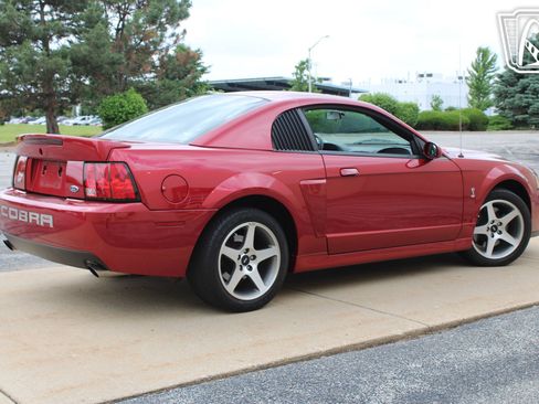 Used 2003 Ford Mustang Cobra RWD image 14