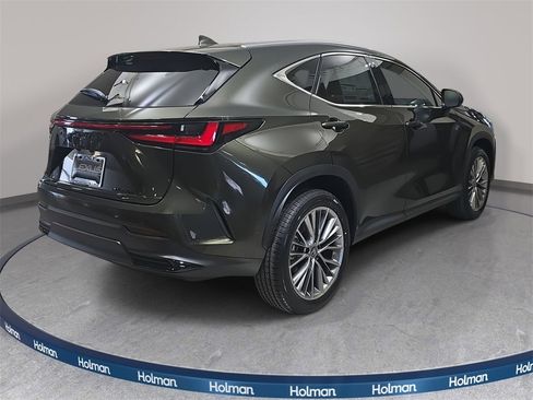 New 2026 Lexus NX 350h AWD w/ Luxury Package image 6