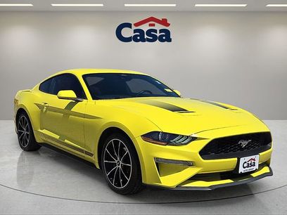 Used 2021 Ford Mustang Coupe w/ Equipment Group 101A