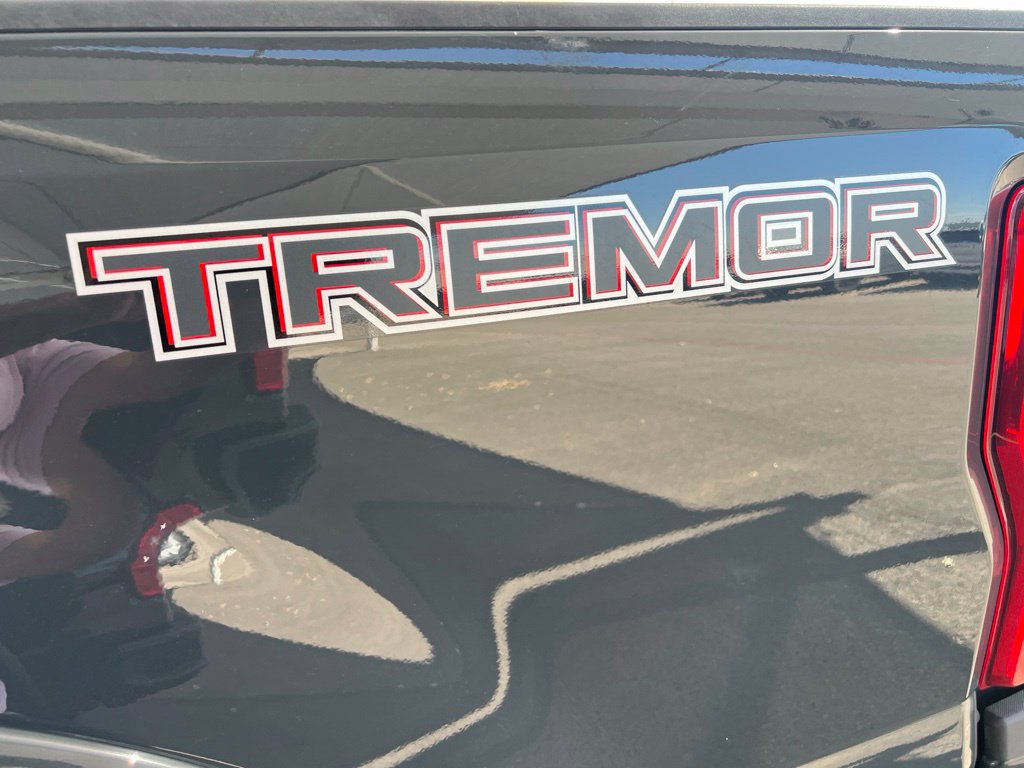 Used 2021 Ford F250 Platinum w/ Tremor Off-Road Package AWD/4WD image 6