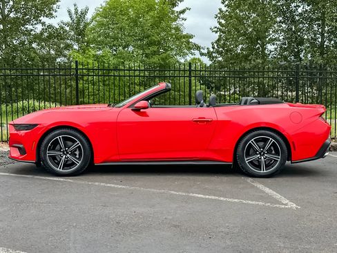 Used 2025 Ford Mustang Premium RWD image 6