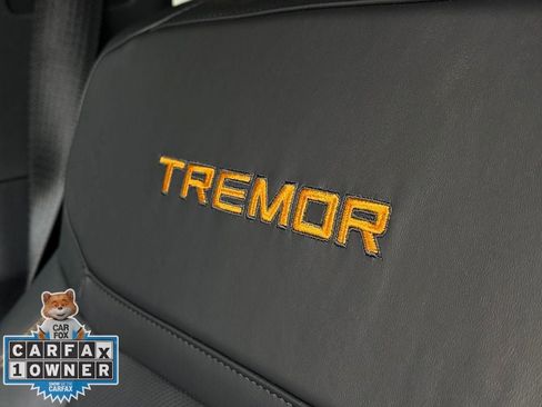 Used 2025 Ford Expedition Tremor AWD/4WD image 18