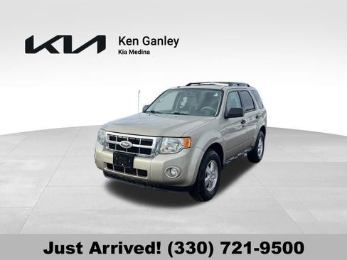 Used 2010 Ford Escape XLT image 1