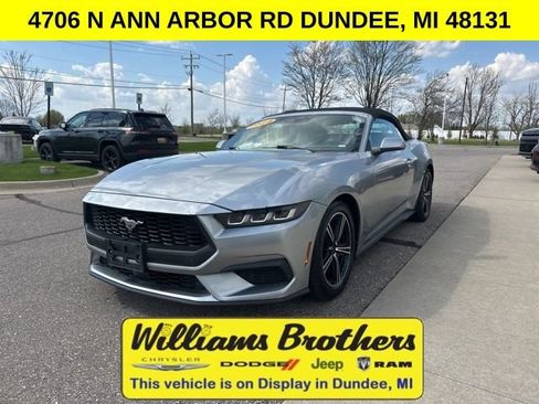 Used 2024 Ford Mustang Premium RWD image 1