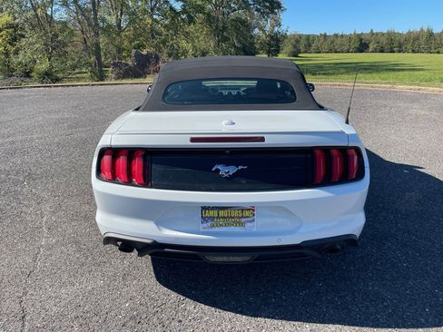 Used 2018 Ford Mustang Premium image 4