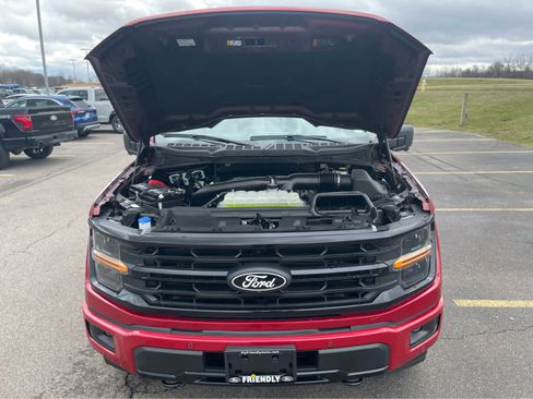 Used 2024 Ford F150 XLT w/ Equipment Group 302A MID image 33